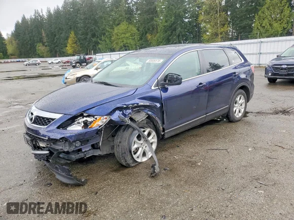 ✅ 2011 Mazda CX-9 Touring • VIN: JM3TB3CV1B0331227 • Lot: 50006576. Listed on Copart with 126,742 mi. Free auction sales archive from the USA and detailed vehicle history report at DreamBid. Image 1.