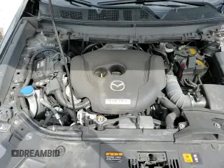 ✅ 2023 Mazda CX-9 Touring • VIN: JM3TCBCY2P0640245 • Lot: 70664765. Listed on Copart with 70,511 mi. Free auction sales archive from the USA and detailed vehicle history report at DreamBid. Image 14.