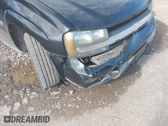 ✅ 2005 Chevrolet TrailBlazer LS • VIN: 1GNES16S156114809 • Lot: 42616422. Listed on IAAI with 238,292 mi. Free auction sales archive from the USA and detailed vehicle history report at DreamBid. Image 6.