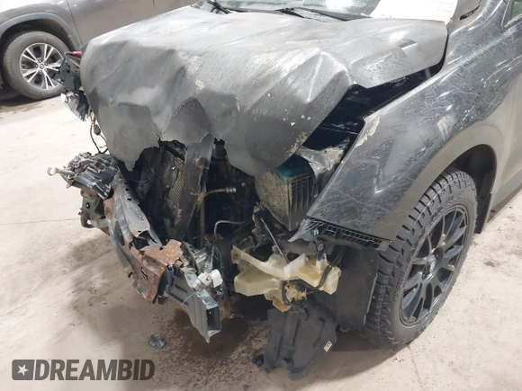 ✅ 2015 Subaru Forester Premium • VIN: JF2SJADC2FG439332 • Лот: 44817852. Опубликован ранее на IAAI с пробегом Не указан. Бесплатный доступ к архиву аукционных продаж из США и подробный отчёт об истории автомобиля на DreamBid. Изображение 6.