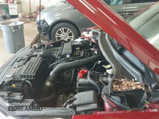 ✅ 2023 Ford Escape ST-Line Select • VIN: 1FMCU9NA6PUA05371 • Lot: 42312360. Listed on IAAI with 33,923 mi. Free auction sales archive from the USA and detailed vehicle history report at DreamBid. Image 19.