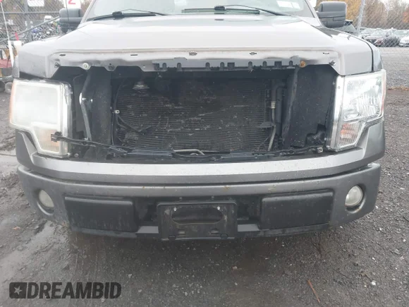 ✅ 2010 Ford F-150 XL • VIN: 1FTEX1CW0AFB24453 • Лот: 43505587. Опубліковано раніше на IAAI з пробігом 193 274 миль. Безкоштовний доступ до архіву аукціонних продажів зі США та докладний звіт про історію автомобіля на DreamBid. Зображення 6.