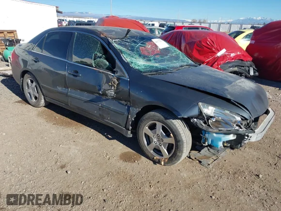 ✅ 2005 Honda Accord • VIN: JHMCN36595C016317 • Lot: 44172291. Wystawiony na IAAI z przebiegiem 145 814 mil. Bezpłatny archiwum sprzedaży aukcyjnych z USA i szczegółowy raport historii pojazdu na DreamBid. Zdjęcie 1.