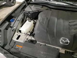 ✅ 2024 Mazda CX-90 S • VIN: JM3KK1HCXR1141115 • Lot: 45179815. Listed on Copart with 25,158 mi. Free auction sales archive from the USA and detailed vehicle history report at DreamBid. Image 14.