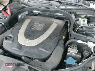 ✅ 2010 Mercedes-Benz E 550 Luxury • VIN: WDDHF9AB0AA167465 • Lot: 43484137. Wystawiony na IAAI z przebiegiem 81 746 mil. Bezpłatny archiwum sprzedaży aukcyjnych z USA i szczegółowy raport historii pojazdu na DreamBid. Zdjęcie 13.