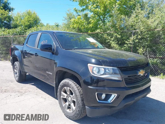 ✅ 2016 Chevrolet Colorado 4WD Z71 • VIN: 1GCGTDE33G1350193 • Лот: 45076066. Опубліковано раніше на IAAI з пробігом 142 983 миль. Безкоштовний доступ до архіву аукціонних продажів зі США та докладний звіт про історію автомобіля на DreamBid. Зображення 1.