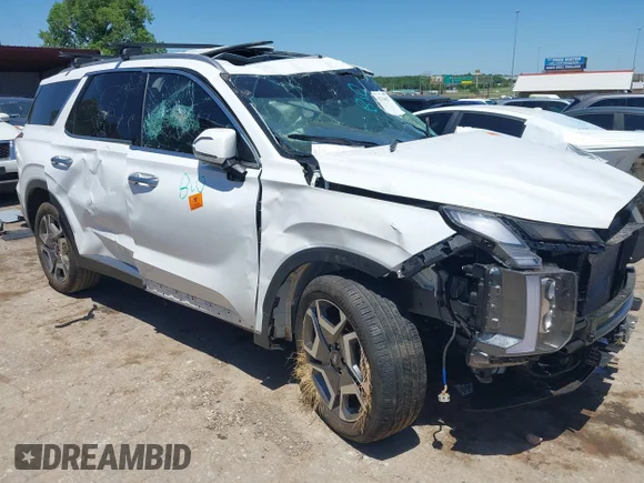 ✅ 2024 Hyundai Palisade SEL • VIN: KM8R44GE4RU798248 • Lot: 42316017. Wystawiony na IAAI z przebiegiem Nie podano. Bezpłatny archiwum sprzedaży aukcyjnych z USA i szczegółowy raport historii pojazdu na DreamBid. Zdjęcie 1.