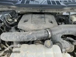 ✅ 2023 Ford F-150 XL • VIN: 1FTEW1C81PKD69458 • Лот: 63005555. Опубликован ранее на Copart с пробегом 54 525 миль. Бесплатный доступ к архиву аукционных продаж из США и подробный отчёт об истории автомобиля на DreamBid. Изображение 14.