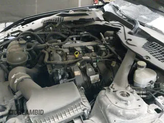 ✅ 2021 Ford Mustang EcoBoost • VIN: 1FA6P8TH0M5110017 • Lot: 41949095. Wystawiony na IAAI z przebiegiem 50 321 mil. Bezpłatny archiwum sprzedaży aukcyjnych z USA i szczegółowy raport historii pojazdu na DreamBid. Zdjęcie 20.