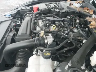 ✅ 2024 Ford Mustang EcoBoost Premium • VIN: 1FAGP8UH2R5110708 • Lot: 43757999. Wystawiony na IAAI z przebiegiem 3 832 mil. Bezpłatny archiwum sprzedaży aukcyjnych z USA i szczegółowy raport historii pojazdu na DreamBid. Zdjęcie 20.