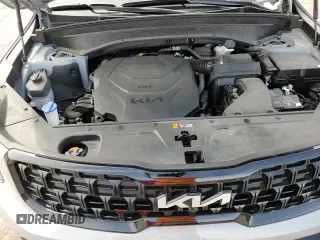 ✅ 2024 Kia Telluride SX Prestige X-Line • VIN: 5XYP5DGC1RG436287 • Lot: 70754275. Listed on Copart with 25,953 mi. Free auction sales archive from the USA and detailed vehicle history report at DreamBid. Image 16.