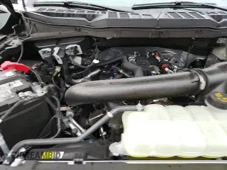 ✅ 2025 Ford F-150 XLT • VIN: 1FTEW3K87SKE87018 • Lot: 86098715. Wystawiony na Copart z przebiegiem 4 048 mil. Bezpłatny archiwum sprzedaży aukcyjnych z USA i szczegółowy raport historii pojazdu na DreamBid. Zdjęcie 13.