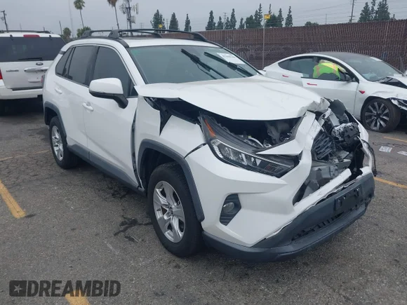 ✅ 2019 Toyota RAV4 XLE • VIN: 2T3W1RFV1KW024174 • Lot: 45260188. Wystawiony na IAAI z przebiegiem 38 481 mil. Bezpłatny archiwum sprzedaży aukcyjnych z USA i szczegółowy raport historii pojazdu na DreamBid. Zdjęcie 1.
