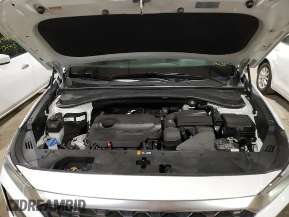 ✅ 2019 Hyundai Santa Fe SE • VIN: 5NMS2CAD4KH080458 • Lot: 64786912. Wystawiony na Copart z przebiegiem 43 874 mil. Bezpłatny archiwum sprzedaży aukcyjnych z USA i szczegółowy raport historii pojazdu na DreamBid. Zdjęcie 7.