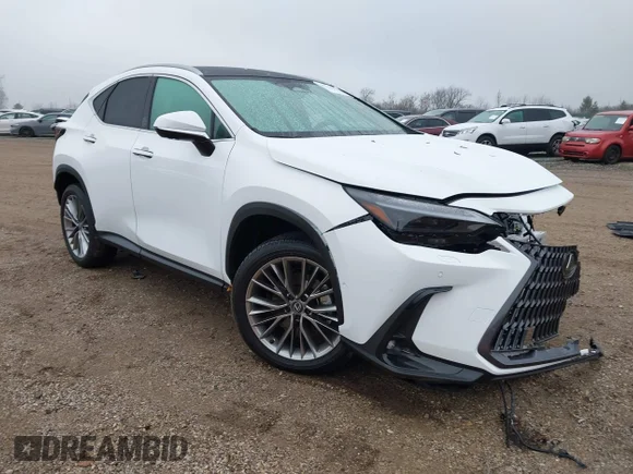 ✅ 2026 Lexus NX 350 Luxury • VIN: 2T2HGCEZ0TC102086 • Лот: 43744433. Опубліковано раніше на IAAI з пробігом 1 167 миль. Безкоштовний доступ до архіву аукціонних продажів зі США та докладний звіт про історію автомобіля на DreamBid. Зображення 1.