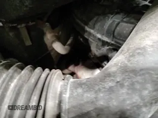 ✅ 2019 Ford Transit • VIN: 1FTYE2YM4KKA07340 • Lot: 44335015. Wystawiony na Copart z przebiegiem 120 703 mil. Bezpłatny archiwum sprzedaży aukcyjnych z USA i szczegółowy raport historii pojazdu na DreamBid. Zdjęcie 14.