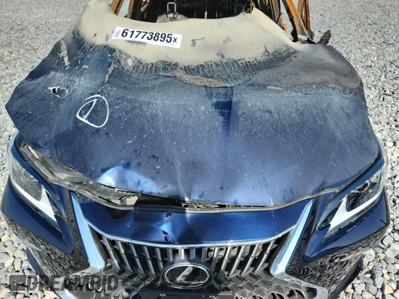 ✅ 2025 Lexus ES 350 • VIN: 58ADZ1B15SU195323 • Lot: 61773895. Wystawiony na Copart z przebiegiem Nie podano. Bezpłatny archiwum sprzedaży aukcyjnych z USA i szczegółowy raport historii pojazdu na DreamBid. Zdjęcie 11.