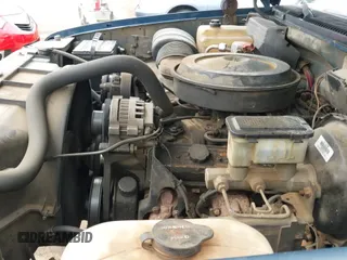 ✅ 1991 Chevrolet Silverado 1500 • VIN: 2GCEC19K5M1151692 • Lot: 42117927. Wystawiony na IAAI z przebiegiem 284 078 mil. Bezpłatny archiwum sprzedaży aukcyjnych z USA i szczegółowy raport historii pojazdu na DreamBid. Zdjęcie 13.