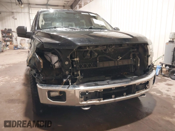 ✅ 2016 Ford F-150 XLT • VIN: 1FTEW1EP0GKD66538 • Lot: 44194457. Wystawiony na IAAI z przebiegiem 203 127 mil. Bezpłatny archiwum sprzedaży aukcyjnych z USA i szczegółowy raport historii pojazdu na DreamBid. Zdjęcie 6.