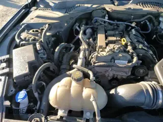 ✅ 2023 Ford Mustang EcoBoost • VIN: 1FA6P8TH8P5104731 • Lot: 86502615. Wystawiony na Copart z przebiegiem 47 538 mil. Bezpłatny archiwum sprzedaży aukcyjnych z USA i szczegółowy raport historii pojazdu na DreamBid. Zdjęcie 13.