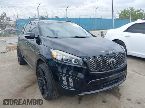 ✅ 2017 Kia Sorento SXL • VIN: 5XYPKDA5XHG254833 • Lot: 42029436. Listed on IAAI with 119,416 mi. Free auction sales archive from the USA and detailed vehicle history report at DreamBid. Image 1.