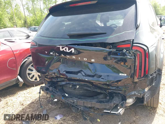✅ 2024 Kia Telluride SX Prestige X-Line • VIN: 5XYP5DGC8RG551873 • Lot: 45121837. Wystawiony na IAAI z przebiegiem 22 607 mil. Bezpłatny archiwum sprzedaży aukcyjnych z USA i szczegółowy raport historii pojazdu na DreamBid. Zdjęcie 6.