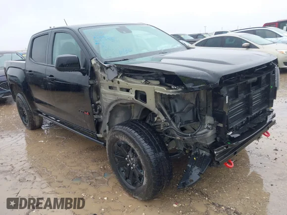 ✅ 2022 GMC Canyon 4WD AT4 • VIN: 1GTG6FENXN1123388 • Lot: 44877684. Listed on IAAI with 115,744 mi. Free auction sales archive from the USA and detailed vehicle history report at DreamBid. Image 1.