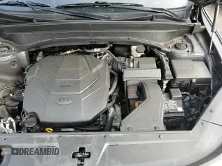 ✅ 2021 Kia Telluride S • VIN: 5XYP6DHC4MG124954 • Lot: 81621935. Listed on Copart with 72,165 mi. Free auction sales archive from the USA and detailed vehicle history report at DreamBid. Image 14.