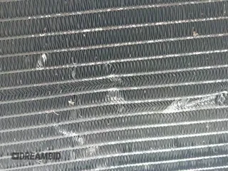 ✅ 2002 GMC Safari • VIN: 1GKDM19X22B501933 • Lot: 41897022. Wystawiony na IAAI z przebiegiem 228 534 mil. Bezpłatny archiwum sprzedaży aukcyjnych z USA i szczegółowy raport historii pojazdu na DreamBid. Zdjęcie 17.