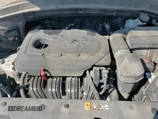 ✅ 2019 Hyundai Santa Fe SE • VIN: 5NMS23ADXKH097314 • Lot: 80940485. Listed on Copart with 114,759 mi. Free auction sales archive from the USA and detailed vehicle history report at DreamBid. Image 16.