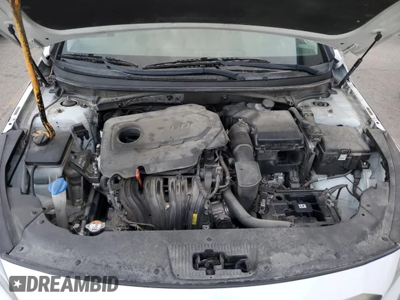 ✅ 2017 Hyundai Sonata SE • VIN: 5NPE24AF9HH531111 • Lot: 45659723. Wystawiony na Copart z przebiegiem 123 375 mil. Bezpłatny archiwum sprzedaży aukcyjnych z USA i szczegółowy raport historii pojazdu na DreamBid. Zdjęcie 11.