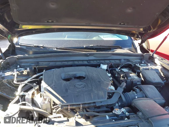 ✅ 2025 Mazda CX-50 S Preferred • VIN: 7MMVABBM9SN340042 • Lot: 43992093. Wystawiony na IAAI z przebiegiem 33 332 mil. Bezpłatny archiwum sprzedaży aukcyjnych z USA i szczegółowy raport historii pojazdu na DreamBid. Zdjęcie 10.