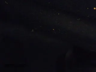 ✅ 2020 Ford Transit Connect XL • VIN: NM0LS7E26L1470989 • Лот: 42996857. Опубликован ранее на IAAI с пробегом 195 264 миль. Бесплатный доступ к архиву аукционных продаж из США и подробный отчёт об истории автомобиля на DreamBid. Изображение 19.