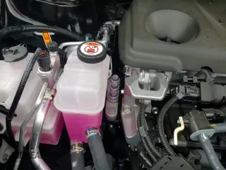 ✅ 2025 Toyota Sienna XSE • VIN: 5TDCSKFC9SS180812 • Lot: 69078275. Wystawiony na Copart z przebiegiem 5 048 mil. Bezpłatny archiwum sprzedaży aukcyjnych z USA i szczegółowy raport historii pojazdu na DreamBid. Zdjęcie 14.