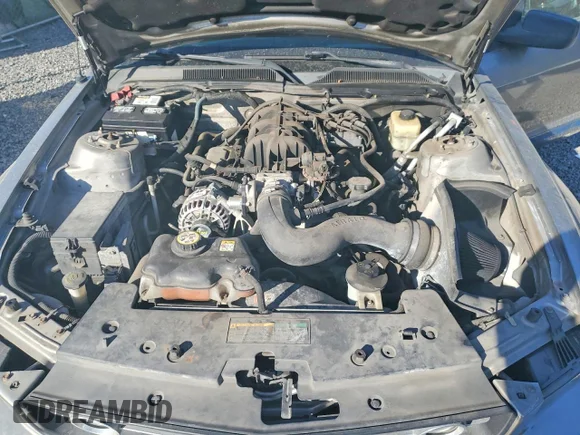 ✅ 2008 Ford Mustang Deluxe • VIN: 1ZVHT80N185115884 • Lot: 75170335. Listed on Copart with Not provided. Free auction sales archive from the USA and detailed vehicle history report at DreamBid. Image 11.