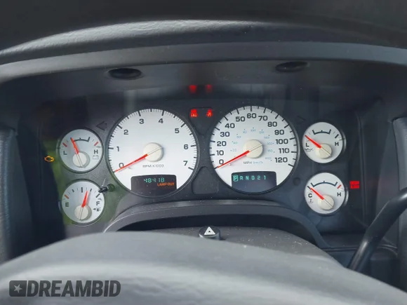 ✅ 2003 Dodge 1500 ST • VIN: 1D7HA16N33J505026 • Лот: 41420896. Опубліковано раніше на IAAI з пробігом 48 418 миль. Безкоштовний доступ до архіву аукціонних продажів зі США та докладний звіт про історію автомобіля на DreamBid. Зображення 7.