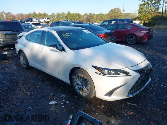 ✅ 2019 Lexus ES 350 • VIN: 58ABZ1B14KU017104 • Lot: 43483878. Listed on IAAI with 8,799 mi. Free auction sales archive from the USA and detailed vehicle history report at DreamBid. Image 1.