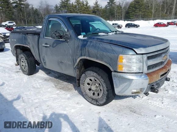 ✅ 2013 Chevrolet Silverado 1500 Work Truck • VIN: 1GCNKPEX2DZ373069 • Lot: 44451729. Listed on IAAI with 107,489 mi. Free auction sales archive from the USA and detailed vehicle history report at DreamBid. Image 1.