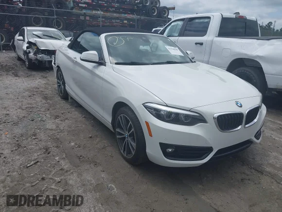 2019 BMW 2 Series 230i