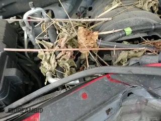 ✅ 2019 Chevrolet Silverado 1500 LT Trail Boss • VIN: 3GCPYFED5KG130814 • Лот: 71036305. Опубликован ранее на Copart с пробегом 86 396 миль. Бесплатный доступ к архиву аукционных продаж из США и подробный отчёт об истории автомобиля на DreamBid. Изображение 15.