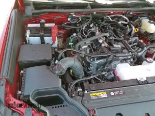 ✅ 2025 Toyota 4Runner SR5 • VIN: JTEVA5BR4S5016120 • Lot: 81069135. Wystawiony na Copart z przebiegiem 8 000 mil. Bezpłatny archiwum sprzedaży aukcyjnych z USA i szczegółowy raport historii pojazdu na DreamBid. Zdjęcie 14.