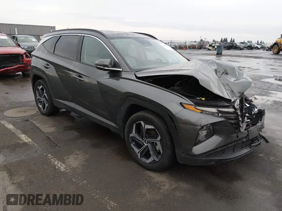 ✅ 2024 Hyundai Tucson Limited • VIN: KM8JFDD29RU146050 • Лот: 44013462. Опубликован ранее на IAAI с пробегом 18 604 миль. Бесплатный доступ к архиву аукционных продаж из США и подробный отчёт об истории автомобиля на DreamBid. Изображение 1.