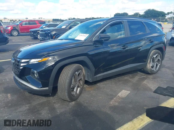 ✅ 2024 Hyundai Tucson SEL • VIN: 5NMJB3DE2RH425299 • Lot: 43913164. Wystawiony na IAAI z przebiegiem 14 344 mil. Bezpłatny archiwum sprzedaży aukcyjnych z USA i szczegółowy raport historii pojazdu na DreamBid. Zdjęcie 2.