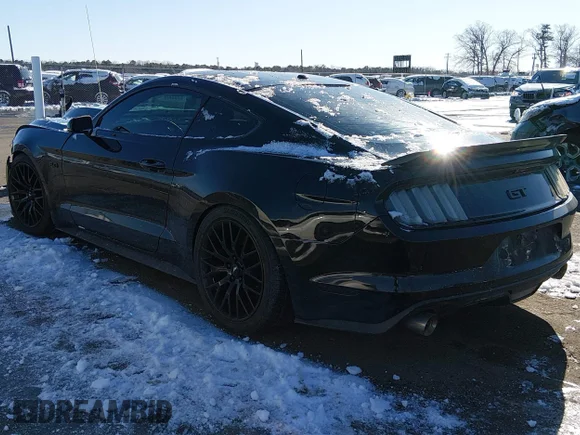 ✅ 2017 Ford Mustang GT • VIN: 1FA6P8CF6H5276627 • Lot: 44190238. Wystawiony na IAAI z przebiegiem 98 572 mil. Bezpłatny archiwum sprzedaży aukcyjnych z USA i szczegółowy raport historii pojazdu na DreamBid. Zdjęcie 3.