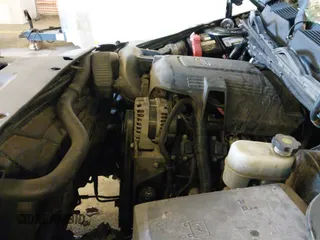 2008 Chevrolet Silverado 1500 1LT z VIN 1GCEK19J58Z153241, wystawiony jako IAAI lot #43300684 z przebiegiem 297 826 mil mil oraz . Historia ofert i sprzedaży dostępna na DreamBid. Obrazek 20.