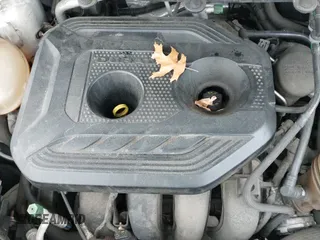 ✅ 2018 Ford EcoSport Titanium • VIN: MAJ6P1WLXJC195088 • Lot: 43770667. Listed on IAAI with 180,125 mi. Free auction sales archive from the USA and detailed vehicle history report at DreamBid. Image 19.