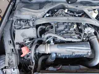 ✅ 2024 Ford Mustang EcoBoost Premium • VIN: 1FAGP8UH7R5105763 • Lot: 90625775. Wystawiony na Copart z przebiegiem 8 678 mil. Bezpłatny archiwum sprzedaży aukcyjnych z USA i szczegółowy raport historii pojazdu na DreamBid. Zdjęcie 15.