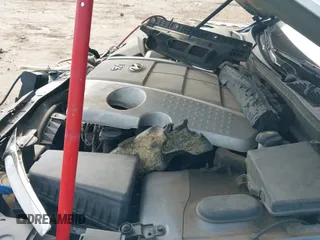 ✅ 2009 Hyundai Genesis • VIN: KMHGC46E89U043132 • Лот: 42683839. Опубликован ранее на IAAI с пробегом 298 537 миль. Бесплатный доступ к архиву аукционных продаж из США и подробный отчёт об истории автомобиля на DreamBid. Изображение 13.