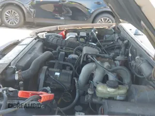 ✅ 1998 Ford Ranger XL • VIN: 1FTYR10CXWUC34530 • Lot: 42825720. Listed on IAAI with 142,183 mi. Free auction sales archive from the USA and detailed vehicle history report at DreamBid. Image 15.