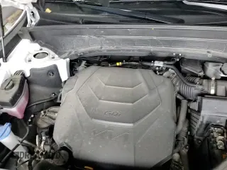 ✅ 2024 Kia Telluride S • VIN: 5XYP6DGC7RG478864 • Lot: 69826135. Listed on Copart with 17,429 mi. Free auction sales archive from the USA and detailed vehicle history report at DreamBid. Image 16.